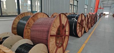 Shandong Jinyu Cable Co., Ltd. linea di produzione del fabbricante