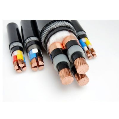 Conduzione di rame a bassa tensione 1x300mm2 cavo di alimentazione XLPE per distribuzione di energia duratura